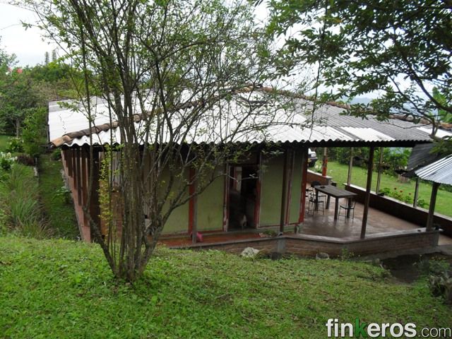 CAICEDONIA SE VENDE FINCA CAMPESTRE VEREDA EL CRUCERO - Finca en Caicedonia, Valle del Cauca